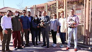 'Yeni düzenleme yapılmalı'