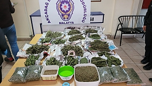 Akçadağ'da 6,5 kilo esrar yakalandı 