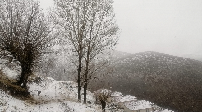 Arapgir'e mevsimin ilk karı yağdı 
