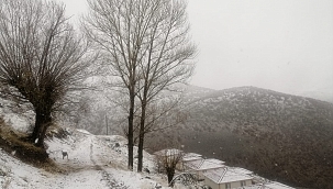 Arapgir'e mevsimin ilk karı yağdı 