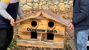 Kış öncesi sokak kedilerine şefkat eli