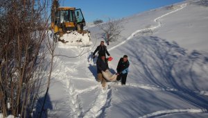Battalgazi'de 'tavukları' telef olmaktan ekipler kurtardı
