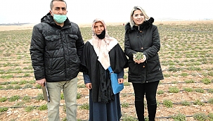 Hasat edilmeden pazar buldu