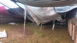 Kar nedeniyle çöken ağılda 28 küçükbaş hayvan telef oldu