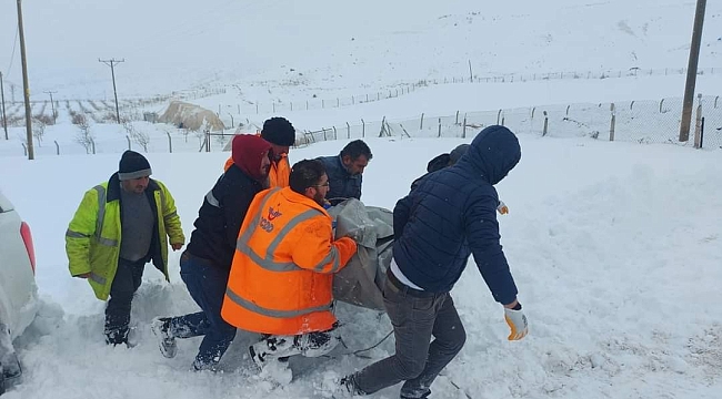 Ahır çöktü 20 küçükbaş hayvan telef oldu