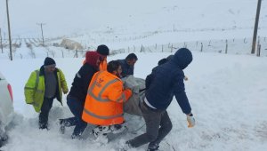 Ahır çöktü 20 küçükbaş hayvan telef oldu