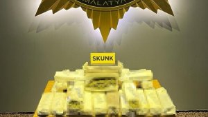 4 kilo 350 gram skunk ele geçirildi