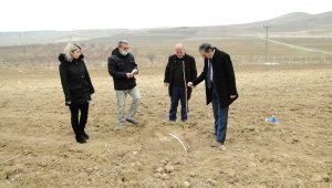 Dut üretimi yaygınlaşıyor!