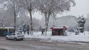 Malatya'da kar etkisini sürdürüyor