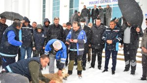 Malatya'da yoğun kar için şükür kurbanı