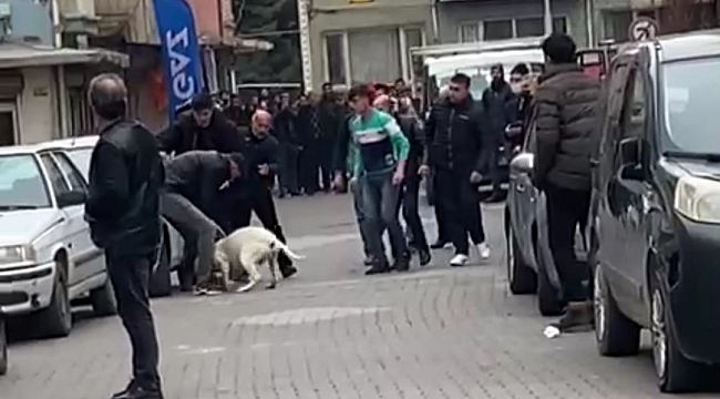 Malatya'daki pitbullu saldırı anı kamerada