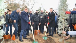 Hemşehri dernekleri fidan dikti