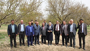 Çalık: 15 gün içerisinde ön hasar tespitleri tamamlanacak