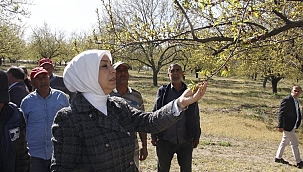 Çalık: Hasar tespit çalışmaları başladı