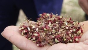 Hasar tespiti ay sonunda tamamlanacak