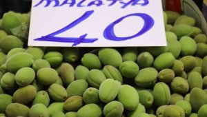 Çağlalar tezgahlardaki yerini aldı