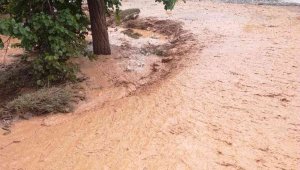 Malatya'da sağanak yağış sele neden oldu