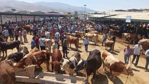 Malatya Kurban Pazarı'nda arife yoğunluğu