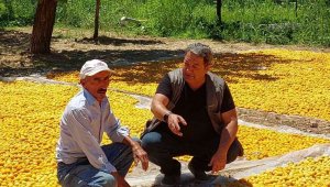 MHP'li Fendoğlu'ndan kayısı üreticilerine ziyaret