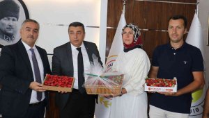 MTB Başkanı Özcan, çilek üreticilerini ödüllendirdi