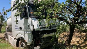 Yoldan çıkan tanker kayısı bahçesine girdi