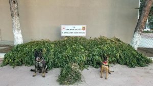 Malatya'da dronlu uyuşturucu operasyonu