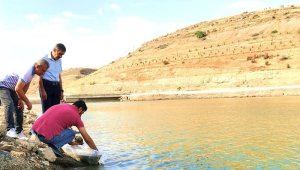 Malatya'daki göletlere 2 milyon yavru balık