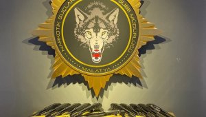 Torbacı operasyonu: 6 gözaltı