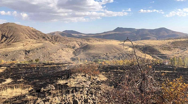 Hekimhan'da arazi yangını: 8 dönüm zarar gördü