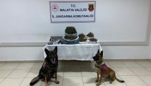 Jandarmadan uyuşturucu operasyonu