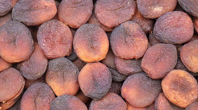 Kayısıda 350 milyon dolarlık ihracat