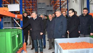 Kuru kayısı lisanslı deposu ile üreticilere kolaylık sağlanıyor