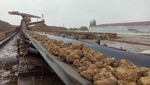 Pancar alım kampanyası sona erdi