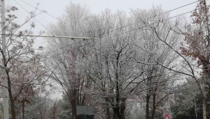 Kırağı kartpostallık görüntüler oluşturdu