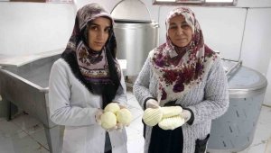 Gelin kaynana peynir üretip satıyorlar
