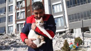 Malatya'da ağır hasarlı binada mahsur kalan kedi kurtarıldı