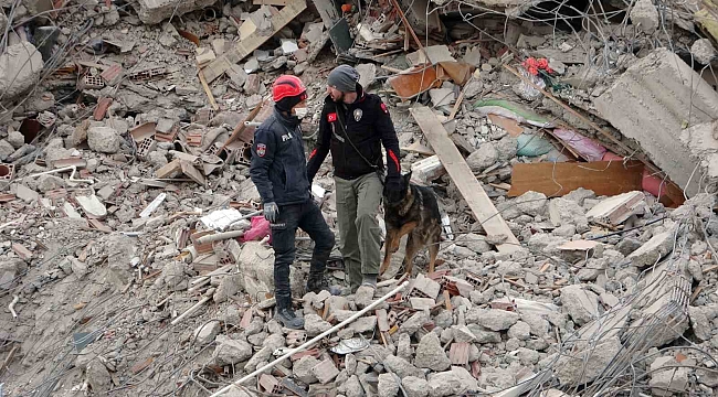 Malatya'da arama kurtarma köpekleri devrede