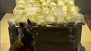 Malatya'da yolcu otobüsünde 52 kilo uyuşturucu ele geçirildi 