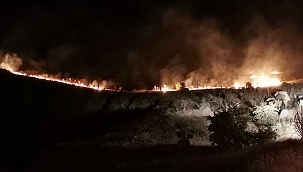 Malatya'da orman yangını 
