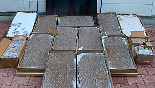 778 bin adet kaçak makaron ele geçirildi