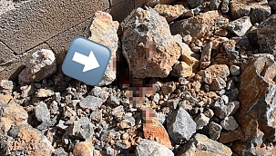 Çalıştığı inşaatın çatısından düşen işçi öldü 