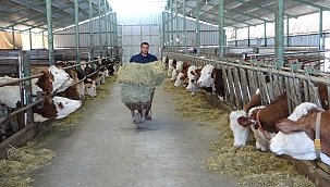 Öğretmenlik hayalini bıraktı çiftlik kurdu 