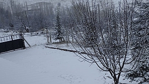 Yüksek rakımlı bölgelerde kar yağışı etkili oldu 