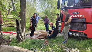 Kuyuya düşen ineği itfaiye kurtardı 