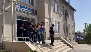 Organize suç örgütüne operasyon 