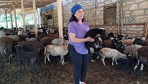 10 koyunla başladı, şimdi kendi işinin patronu oldu 