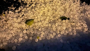 Doğanyol'da şimşekler geceyi aydınlattı 