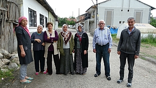Sokak köpekleri mahalleliyi canından bezdirdi 