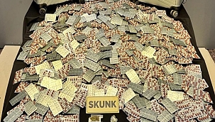 Sokak satıcılarına operasyon: 12 şüpheli tutuklandı 