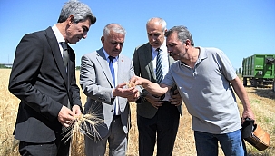 Battalgazi Ziraat Mesleki ve Teknik Anadolu Lisesi'nde buğday hasadı 